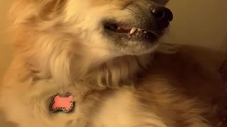 When you’re being super dramatic but realize you are being watched