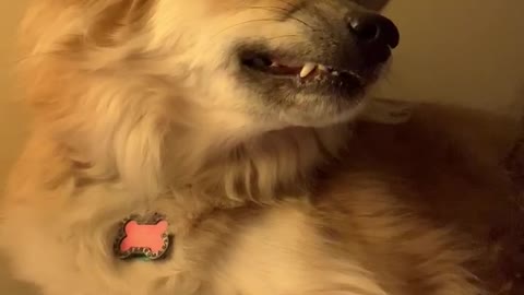 When you’re being super dramatic but realize you are being watched