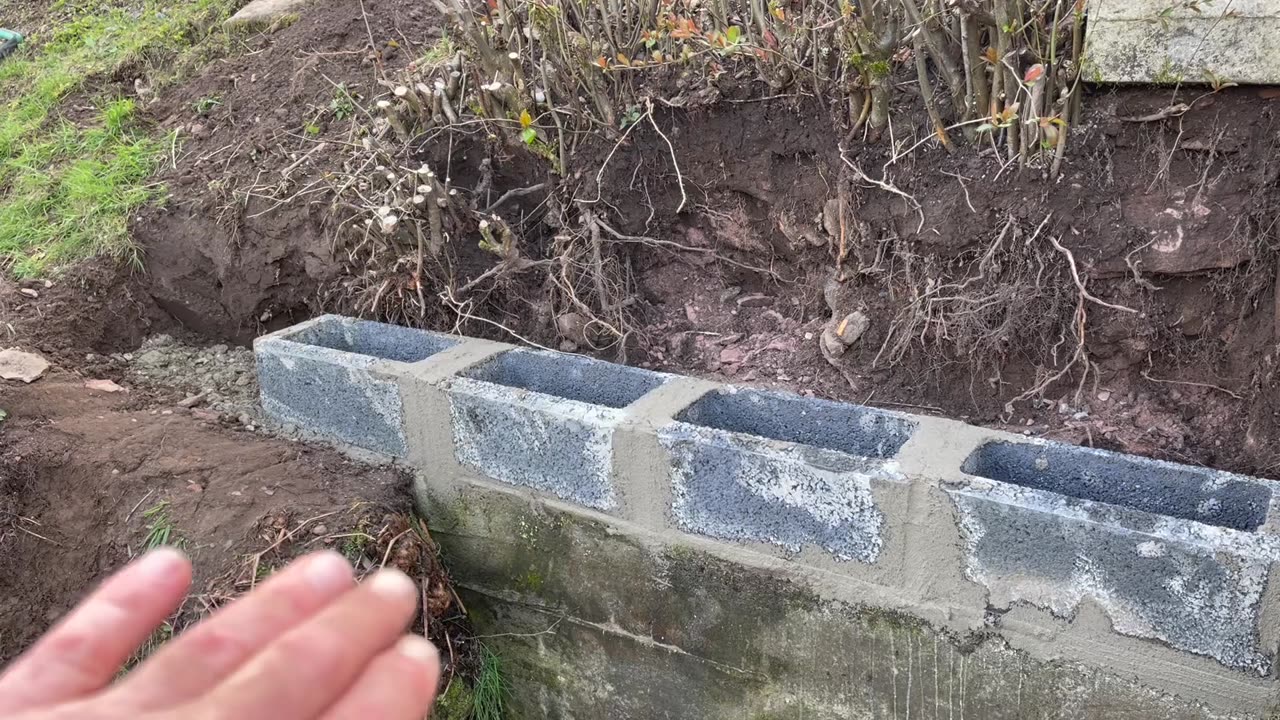 Landscaping Above the Pond