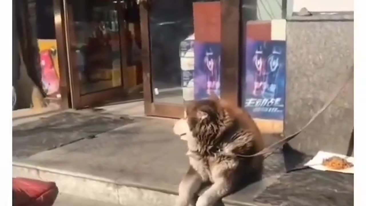 Witing Patiently