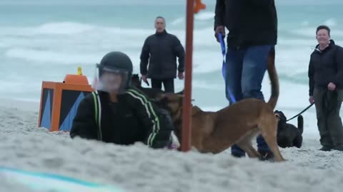 Racing against the Dogs!! - Khatron Ke Khiladi S13