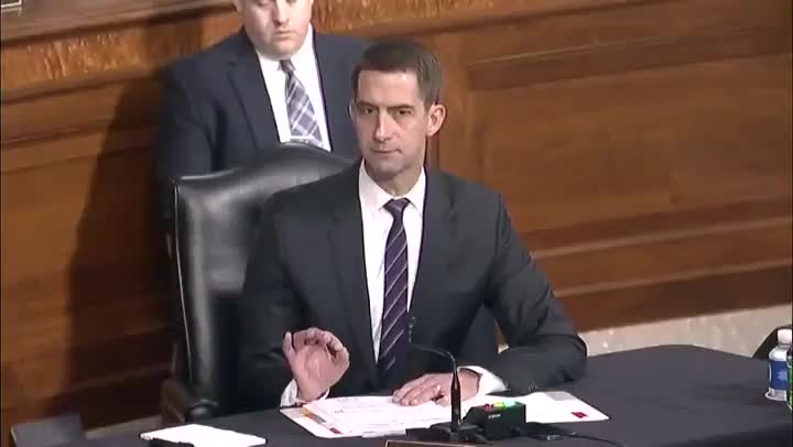 Tom Cotton Embarrasses Biden ATF Nominee Over Assault Weapons Definition
