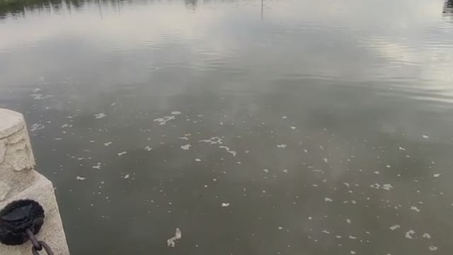 Small reservoir