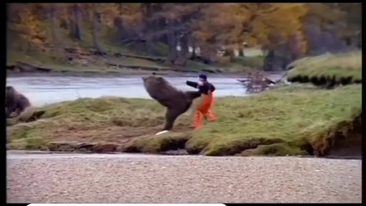 Bear kung fu kar