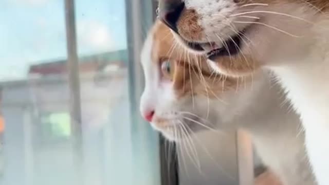 wir können nur zuschauen.