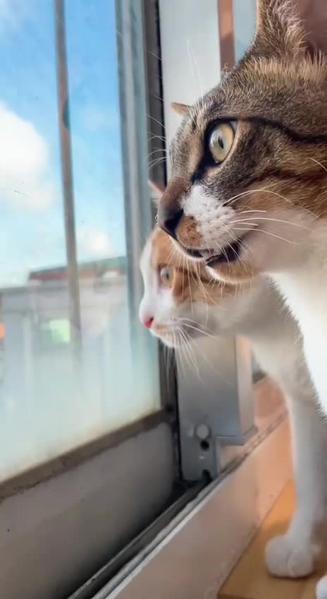 wir können nur zuschauen.