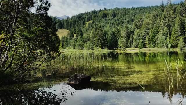 Fall Asleep With Gentle Rain Sounds 4K Rain at Lake