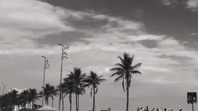 The Rio de Janeiro in black and white.