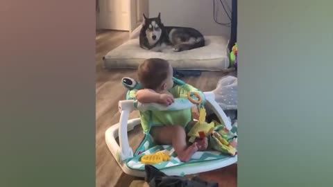 Children and dogs are friends forever