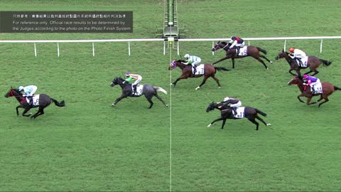 Horse_Race_2022060503_Chinese