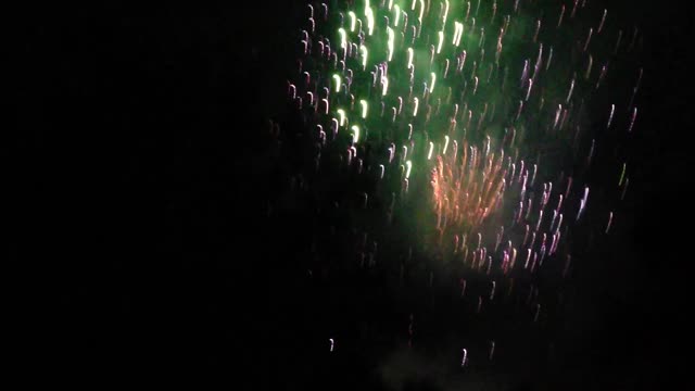4th of July at the park