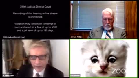 Texas Lawyer Stuck with Cat Zoom Filter LIVE