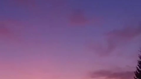 beautiful of nature