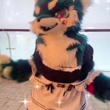 Random Furry Douyin #3