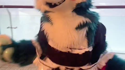 Random Furry Douyin #3