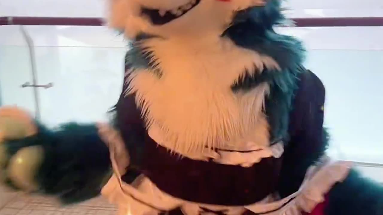 Random Furry Douyin #3