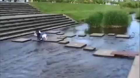 I am with you my friend....!!!