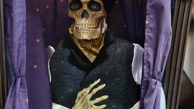 Skeleton Fortune Teller