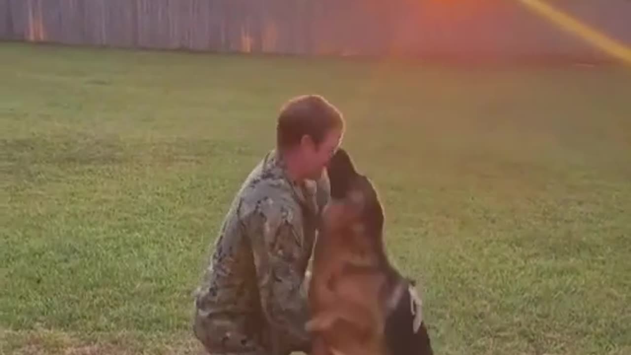 Dog reaction to his Army owner returns home