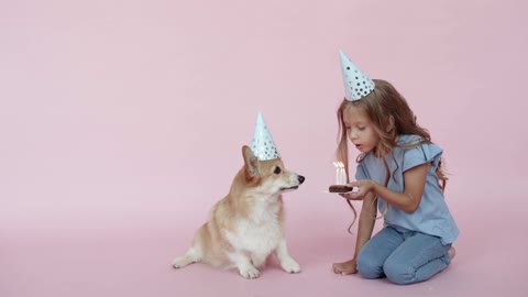 Cute dog 🐕 wish happy birthday 🎉🥳