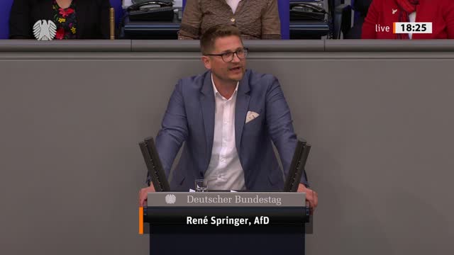 René Springer Rede vom 11.05.2022 - Bundeswehreinsatz im Sahel mit Schwerpunkt Niger (EUTM Mali)