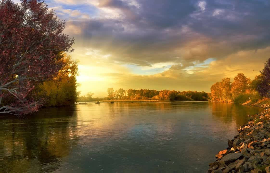 Relax Library: Video 51.Autumn River slowly moving birds singing