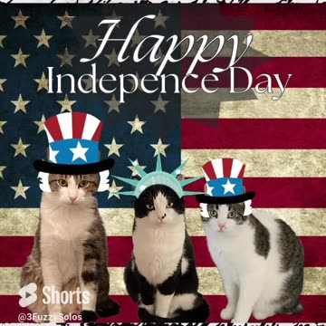 Happy Independence Day from the 3 Fuzzy Solos #happyindependenceday #happy4thofjuly