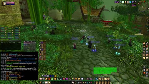 Turtle Wow - MM Weekly ZG - 21 August - paladin POV