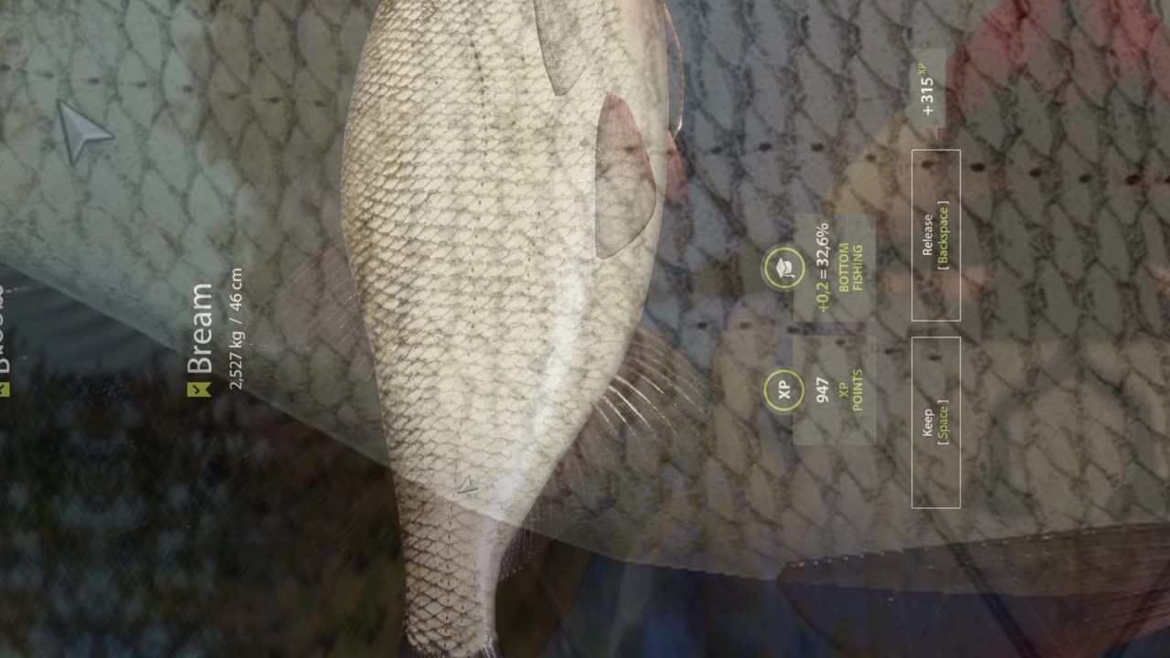 Big Bream in the net, Kuori Lake, Russian Fishing 4 pc game