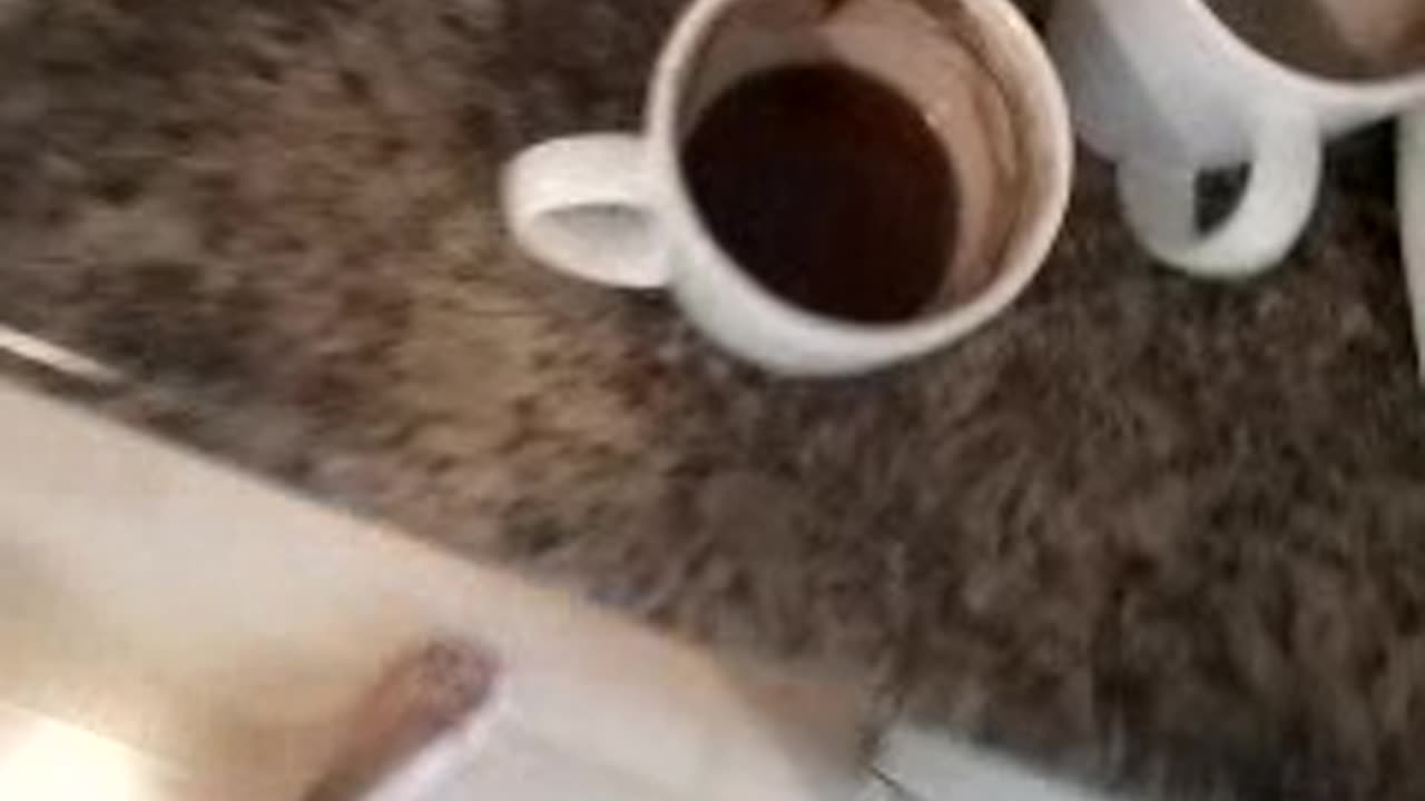 ** TUESDAY = WHITE DAY = DELIGHT DAY = REJOICE DAY. NOV 14, 2:54pm finish, 2023.