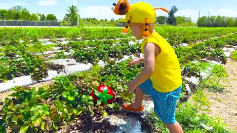 Very funny - Chris and Alice feeding animals at the farm