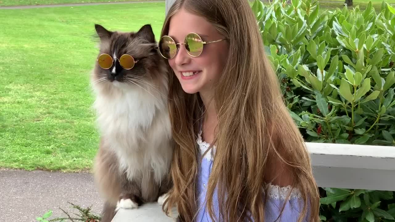 Fashionable cat happily wearing sunglasses at the park