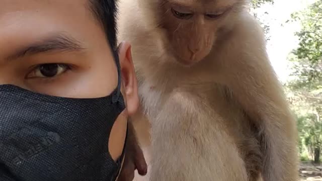 Feeding Our Beloved Abandoned Baby Monkey