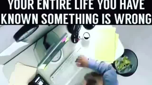 MATRIX 3D