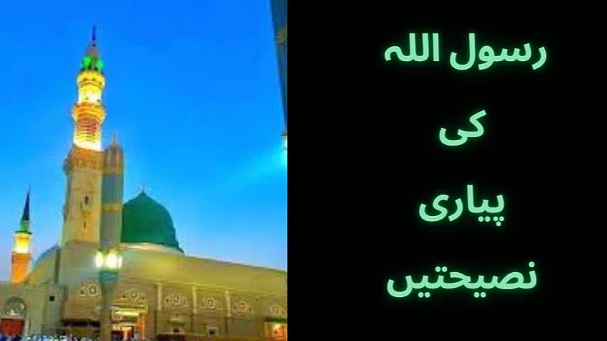 Life Changing Advice of Prophet PBUH |رسول اللہ کی پیاری نصیحتیں