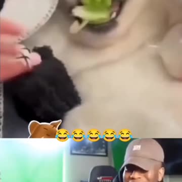 the poor thing was taped ha ha ha