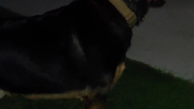 Korbin isn't concerned