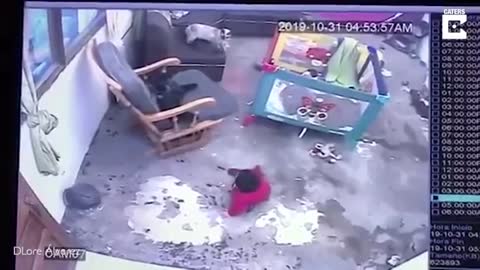 Cat Saves Baby From Falling Down The Stairs