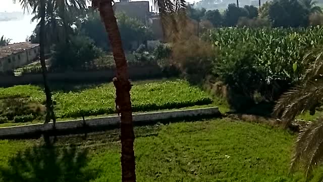 See the nature from above my home, Egypt