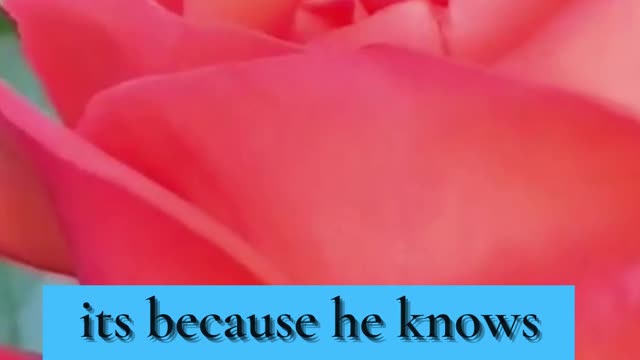 Boy FACT!! Real talk for girls {100%) #