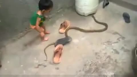 Child try to catch the snake