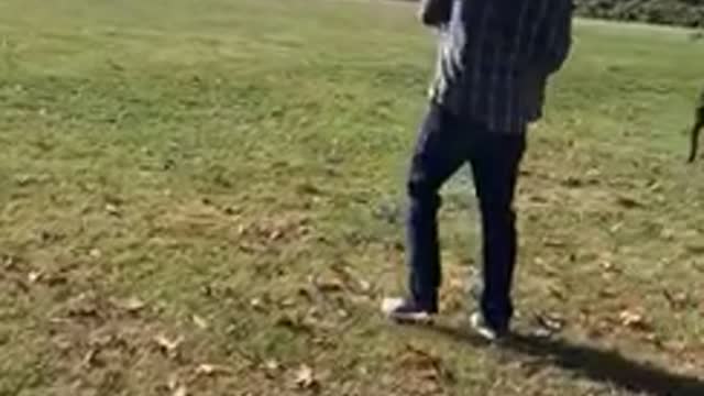 Man hits boy in the face with football