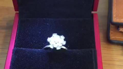 Unique Diamond Spining Engagement Ring !