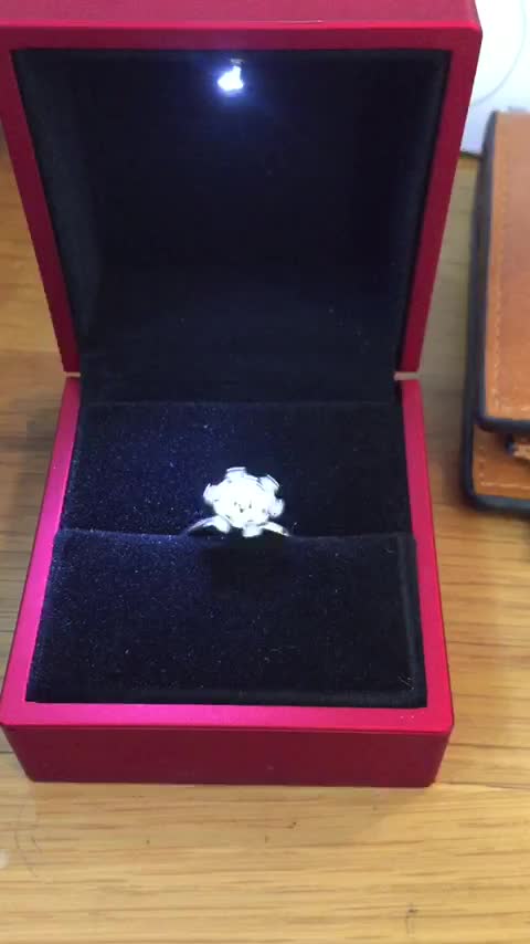 Unique Diamond Spining Engagement Ring !