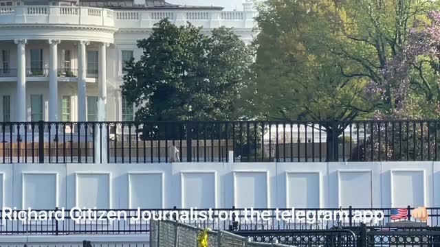 Plywood rose garden wall extended. All the other walls are coming down. And quick!