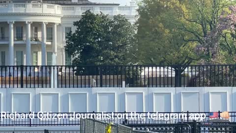 Plywood rose garden wall extended. All the other walls are coming down. And quick!