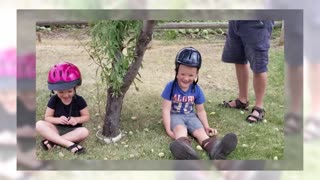 Almond Harvest With The Grandkids