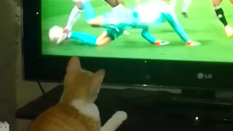 Deedee Cat Like A Goalkeeper