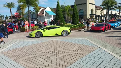 Exotic Car Show