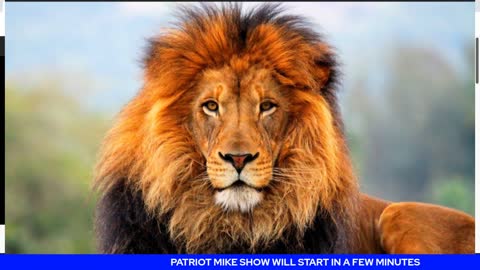 PATRIOT MIKE SHOW DECEMBER 17th 2021